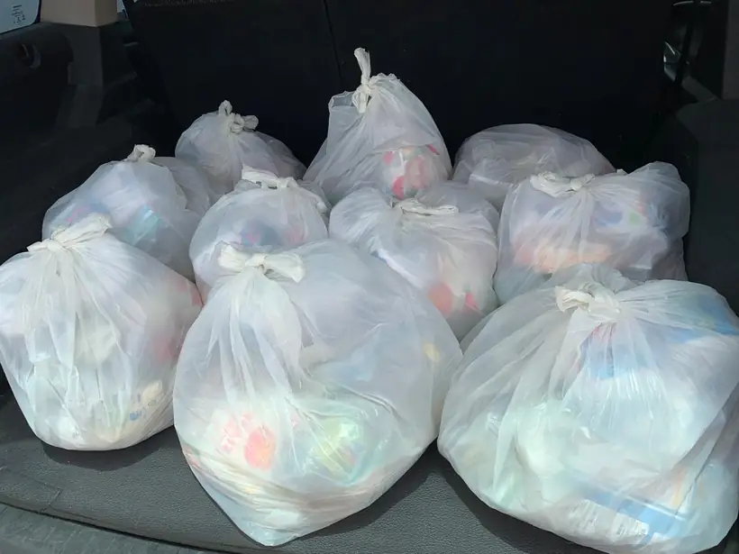 Ayuda con Alimentos y Mejoras de Vivienda, foto 3