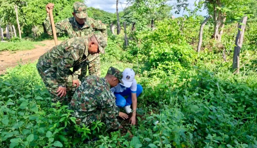 Mil árboles nativos fueron sembrados en Cotoprix para recuperar su entorno ambiental